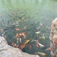 วัดศรีรัตนธรรมมาราม