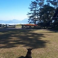 อุทยานแห่งชาติห้วยน้ำดัง