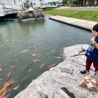 วัดศรีรัตนธรรมมาราม