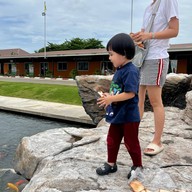 วัดศรีรัตนธรรมมาราม