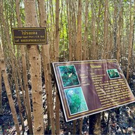 วนอุทยานปราณบุรี