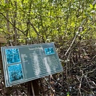 วนอุทยานปราณบุรี