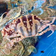 ก้อย ของทะเลสด ฝั่งเขากะโหลก