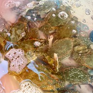 ก้อย ของทะเลสด ฝั่งเขากะโหลก