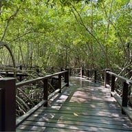 วนอุทยานปราณบุรี