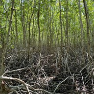 วนอุทยานปราณบุรี