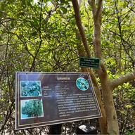 วนอุทยานปราณบุรี