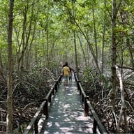 วนอุทยานปราณบุรี