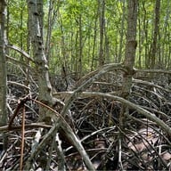 วนอุทยานปราณบุรี