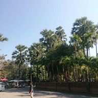 บรรยากาศ วัดต้นเกว๋น