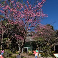 บรรยากาศ ศูนย์อนุรักษ์พันธุ์กล้วยไม้รองเท้านารีอินทนนท์