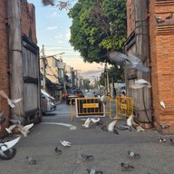 ประตูท่าแพ