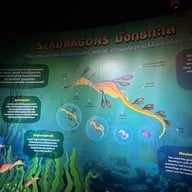 Sea Life Bangkok Ocean World