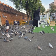 ประตูท่าแพ