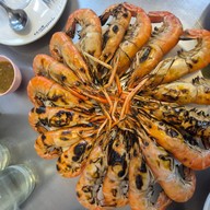กุ้งเพื่อนแพรว