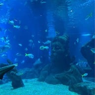 Sea Life Bangkok Ocean World
