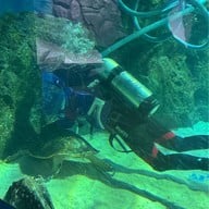 Sea Life Bangkok Ocean World