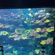 Sea Life Bangkok Ocean World