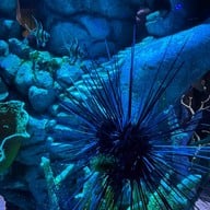 Sea Life Bangkok Ocean World