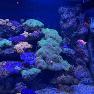 Sea Life Bangkok Ocean World