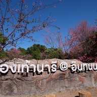 บรรยากาศ ศูนย์อนุรักษ์พันธุ์กล้วยไม้รองเท้านารีอินทนนท์