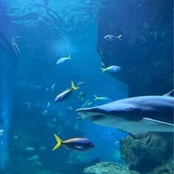 Sea Life Bangkok Ocean World