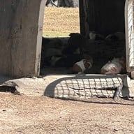 ป้าบุญคาเฟ่7 บางแสน