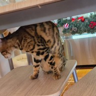 Aoob aoon bakery and coffee