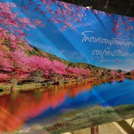 บรรยากาศ ศูนย์อนุรักษ์พันธุ์กล้วยไม้รองเท้านารีอินทนนท์
