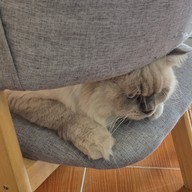 Aoob aoon bakery and coffee