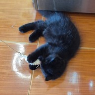 Aoob aoon bakery and coffee