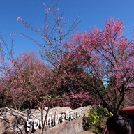 บรรยากาศ ศูนย์อนุรักษ์พันธุ์กล้วยไม้รองเท้านารีอินทนนท์