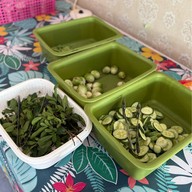 เมนูของร้าน ครัวสุดาข้าวแกงใต้ นครศรีฯ สะพานใหม่