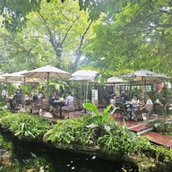 foreste café by Anna-nava