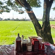 วังเงินติ่มซำ -