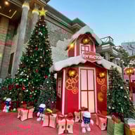 Davin cafe Davin cafe