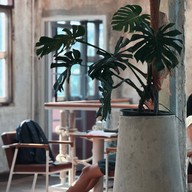 บรรยากาศ The Old School : Specialty Coffee เจริญนคร