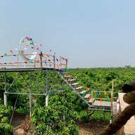 กาแฟ เมืองเหน่อ สุพรรณบุรี