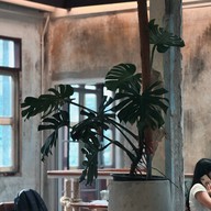 บรรยากาศ The Old School : Specialty Coffee เจริญนคร