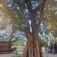 ครัวระเบียงโรงนา นครปฐม