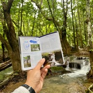 อุทยานแห่งชาติน้ำตกสี่ขีด