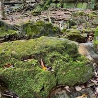 อุทยานแห่งชาติน้ำตกสี่ขีด