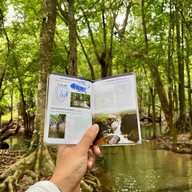 อุทยานแห่งชาติน้ำตกสี่ขีด