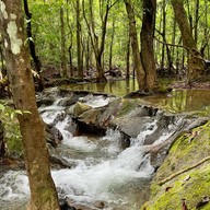 อุทยานแห่งชาติน้ำตกสี่ขีด