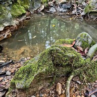 อุทยานแห่งชาติน้ำตกสี่ขีด