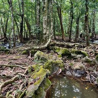 อุทยานแห่งชาติน้ำตกสี่ขีด