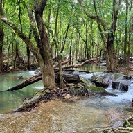 อุทยานแห่งชาติน้ำตกสี่ขีด