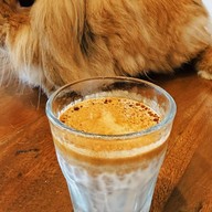 Story coffee (slowbar)