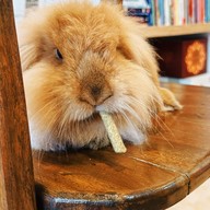 Story coffee (slowbar)