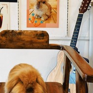 Story coffee (slowbar)